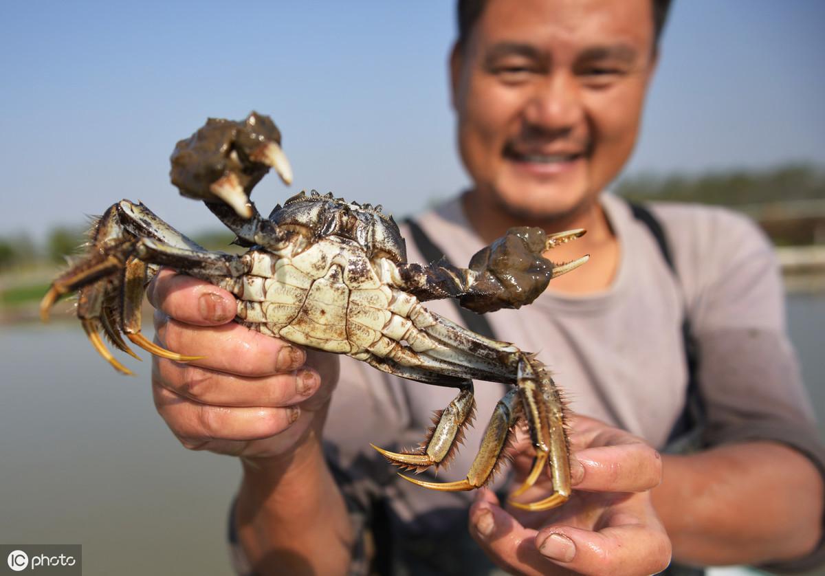 夏季鱼塘水温分层现象及其影响