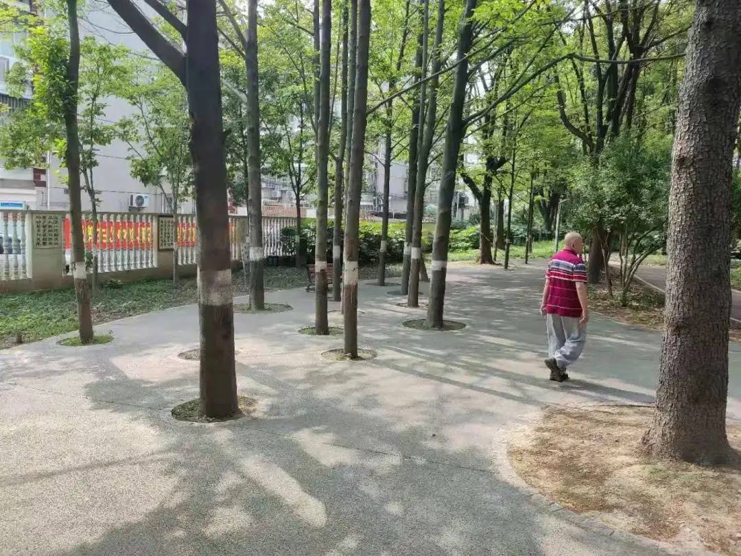 上海儿科肾内科专家门诊，守护儿童肾脏健康的守护者