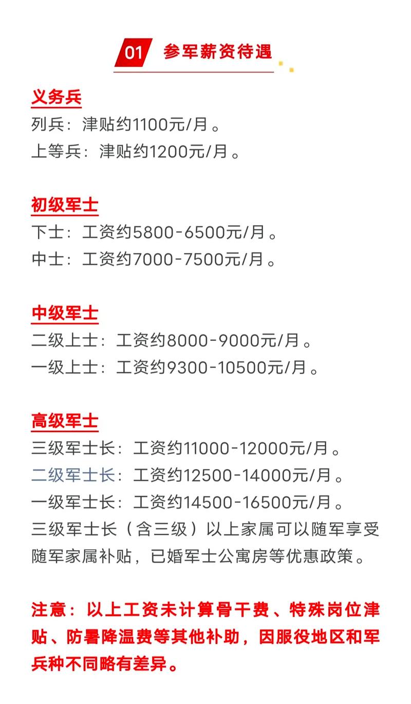 军官待遇如何，多维度考察与探讨
