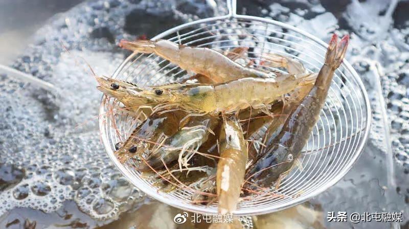 大棚养虾，一种创新的水产养殖模式