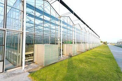 伞式温室大棚养殖，现代养殖业的创新模式