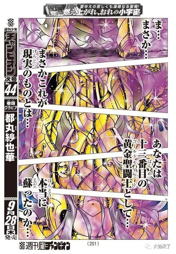 蛇夫座黄金圣斗士漫画，深度解析与探讨