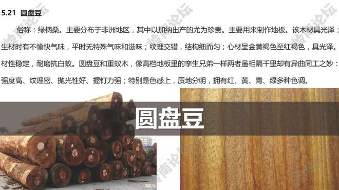 园林木材品种，多样性与应用
