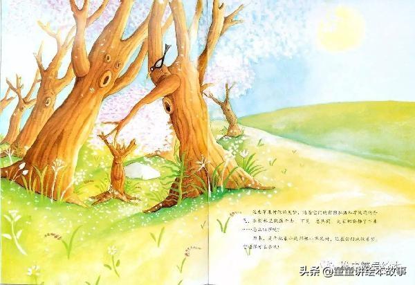 绘本美术教案，苹果树的故事