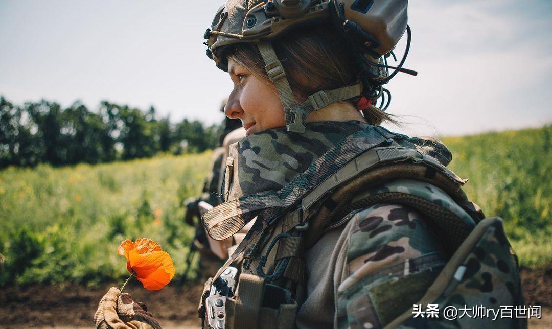 凯撒自动门，技术与艺术的完美结合