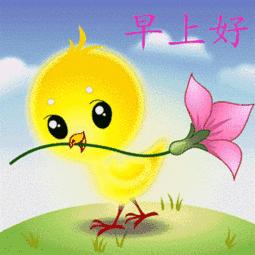 动漫萌图表情包，连接虚拟世界与现实生活的情感纽带