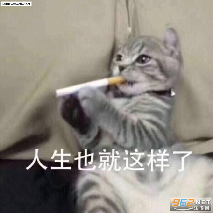 猫老师表情包，网络时代的独特教育魅力