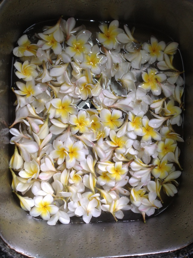 生烤鸡蛋花的独特魅力与制作方法